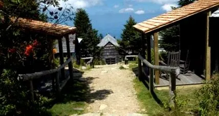 зелен фасул