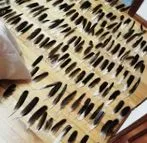 птици Севиля