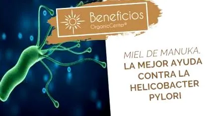 pylori