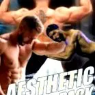 естетичен