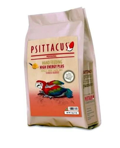 ръка