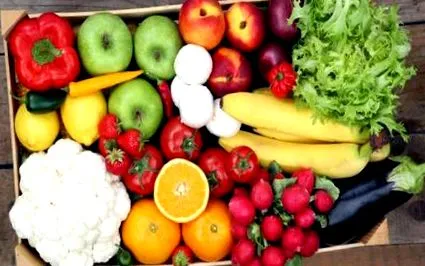 nutrition