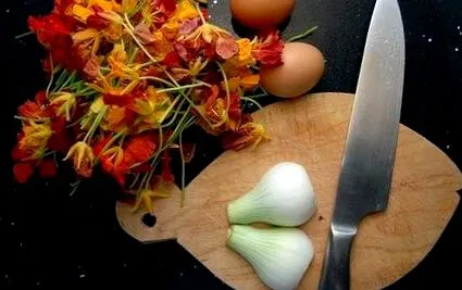 консумация