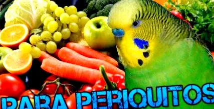 хранят