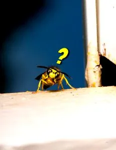 відповідальний