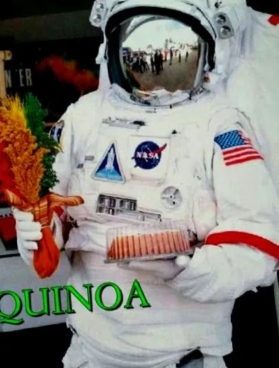 зърната