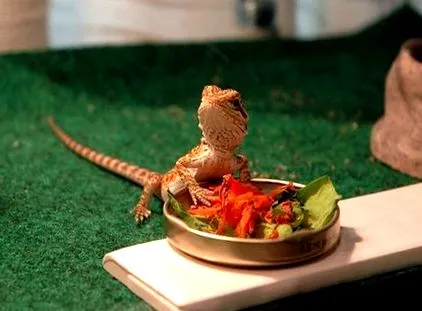 визия