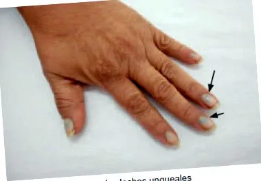 scielo