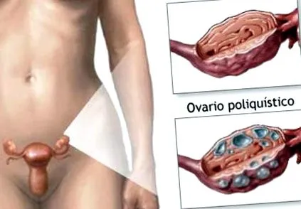естествено