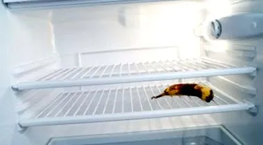 вкуса