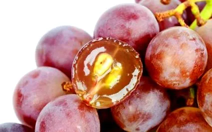 szőlőmagot