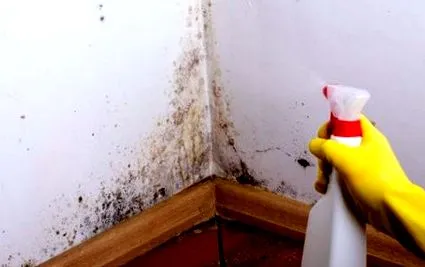стени