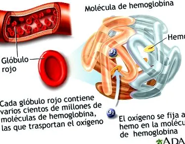 MedlinePlus Medical