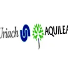 aquilea