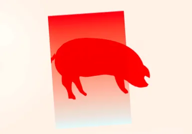 cinkforrás