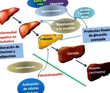 alkoholmentes