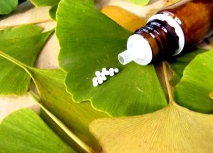biloba