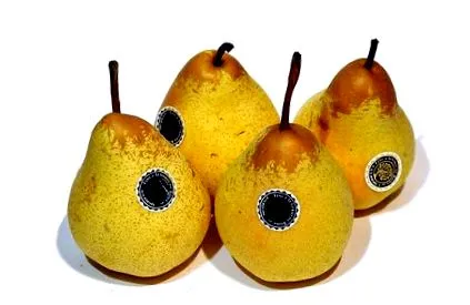 fruita