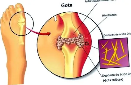 cerceda clínica