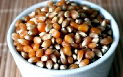 каша кукурудзяну крупу