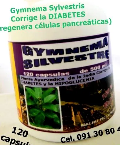 Gymnema Sylvestre