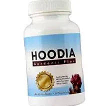 hoodia