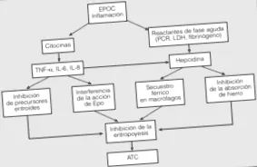 copd-ben