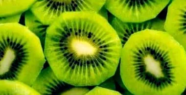 плод