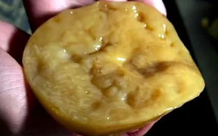 повече