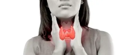 paravida