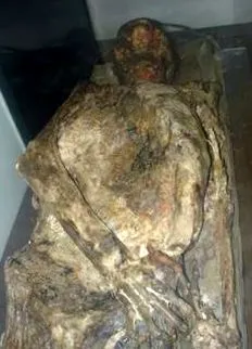единствената
