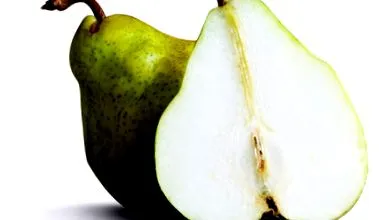 sovány joghurt