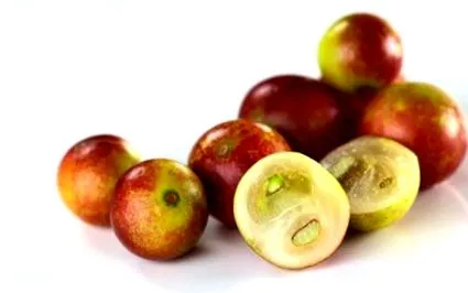 hírek
