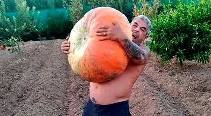 abarandiaadia