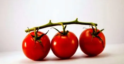 gomba