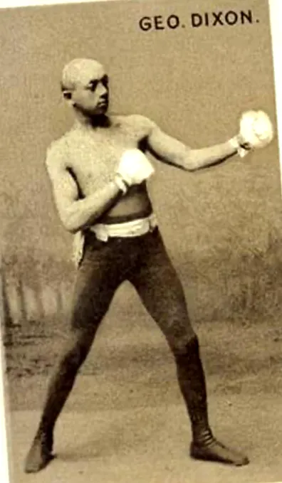 dixon