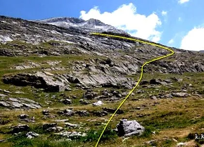 monte