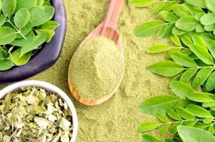 moringa