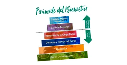 egészségpiramis