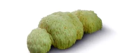 грива