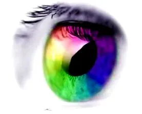 kameraoptikusok