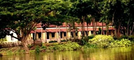 paradise resort