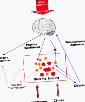 intelligens
