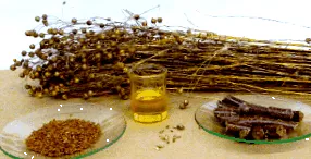 симбиоза