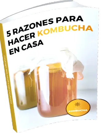 kombucha