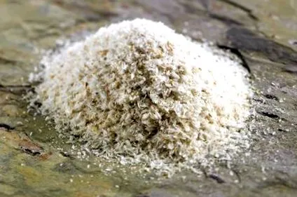 2016-ban megjelent