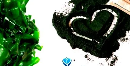 spirulina