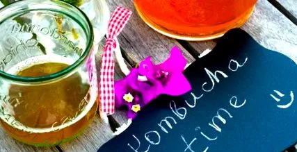 kombucha