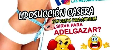 pomda
