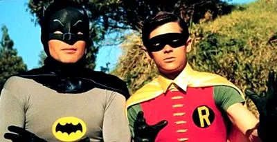 robin